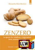 ILPUNTO9191 - Zenzero