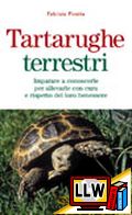 Tartarughe terrestri&nbsp;[pubblicato il 19/01/2009]