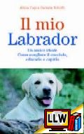 Il mio labrador&nbsp;[pubblicato il 19/02/2009]